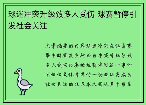 球迷冲突升级致多人受伤 球赛暂停引发社会关注